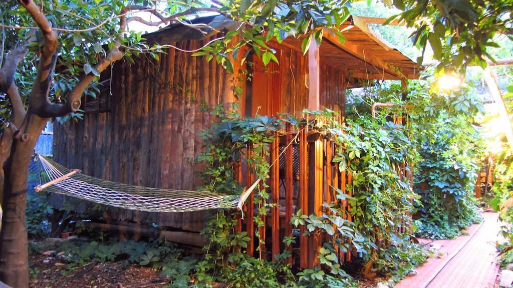 Olympos Natural Pansiyon 객실 사진