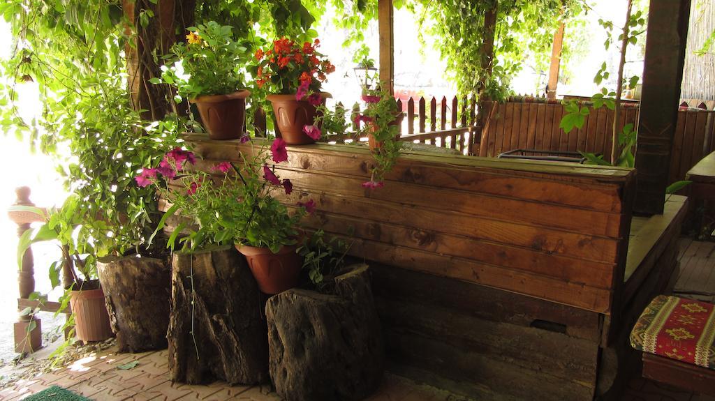 Olympos Natural Pansiyon 외부 사진