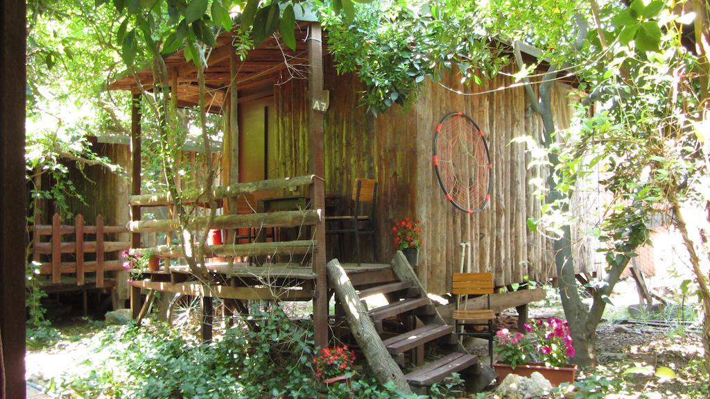 Olympos Natural Pansiyon 외부 사진