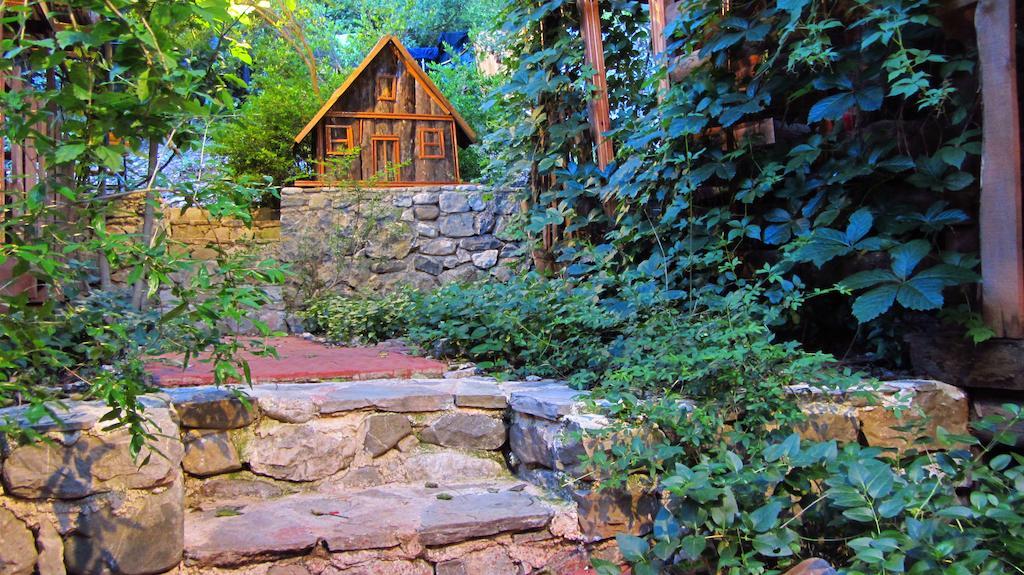 Olympos Natural Pansiyon 외부 사진
